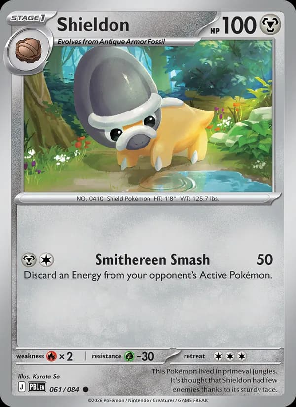 Shieldon 61/84
