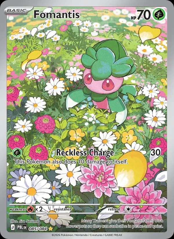 Fomantis 85/84