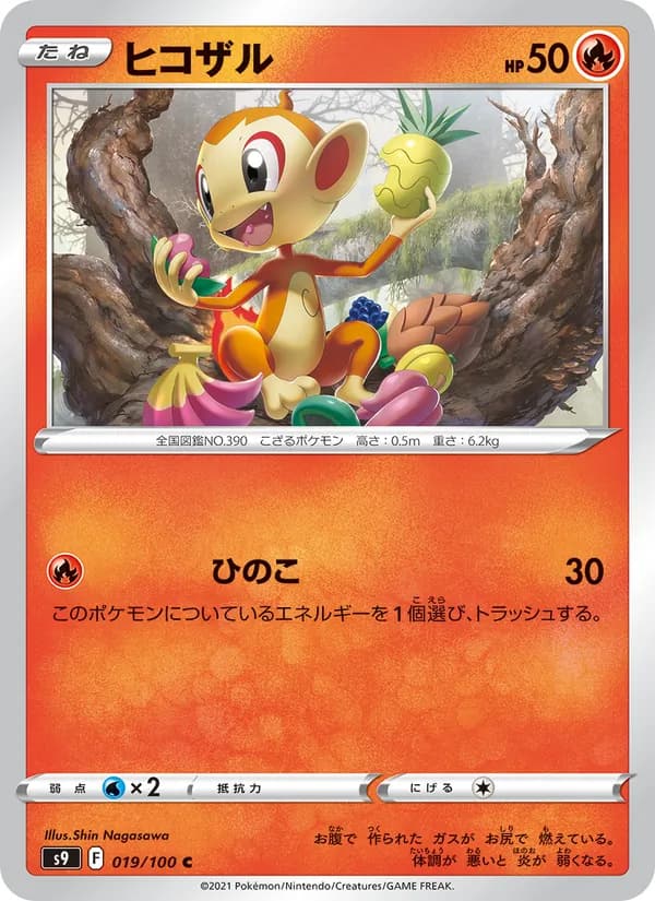 Chimchar 019/100
