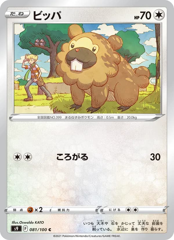 Bidoof 081/100