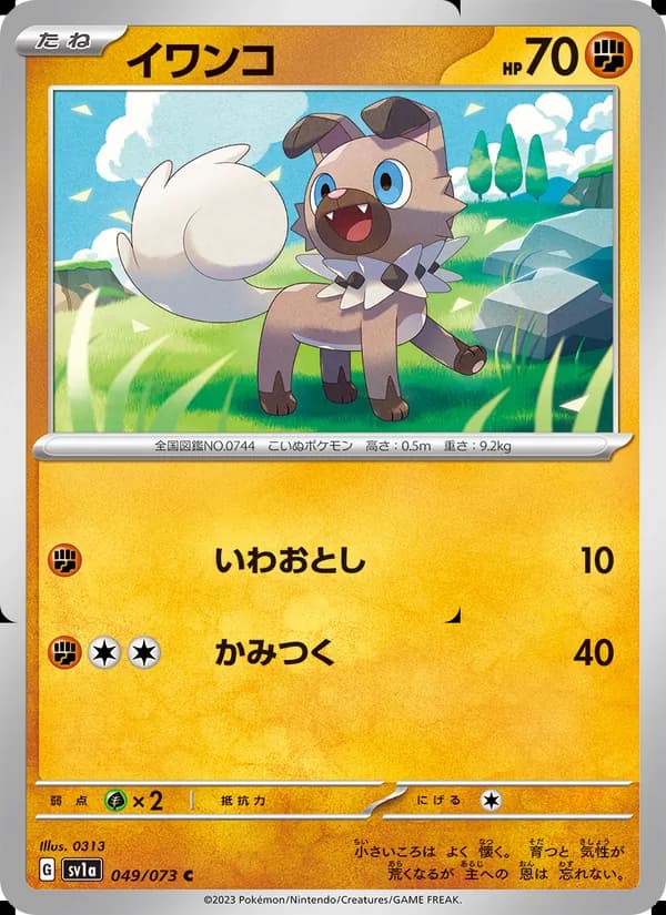 Rockruff 049/73