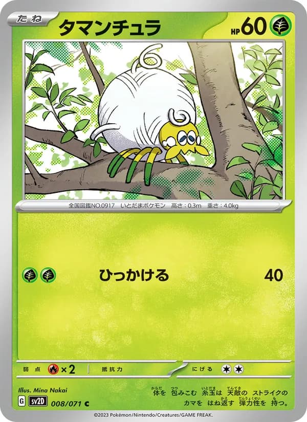 Tarountula 008/71