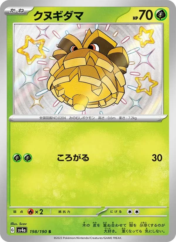 Pineco 198/190