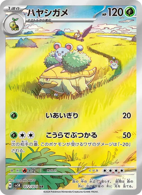 Grotle 072/71