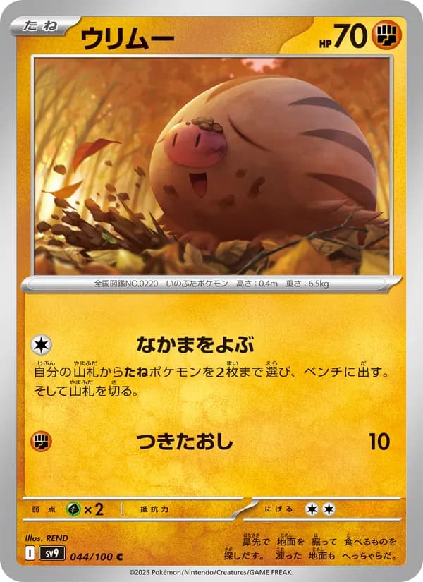 Swinub 044/100