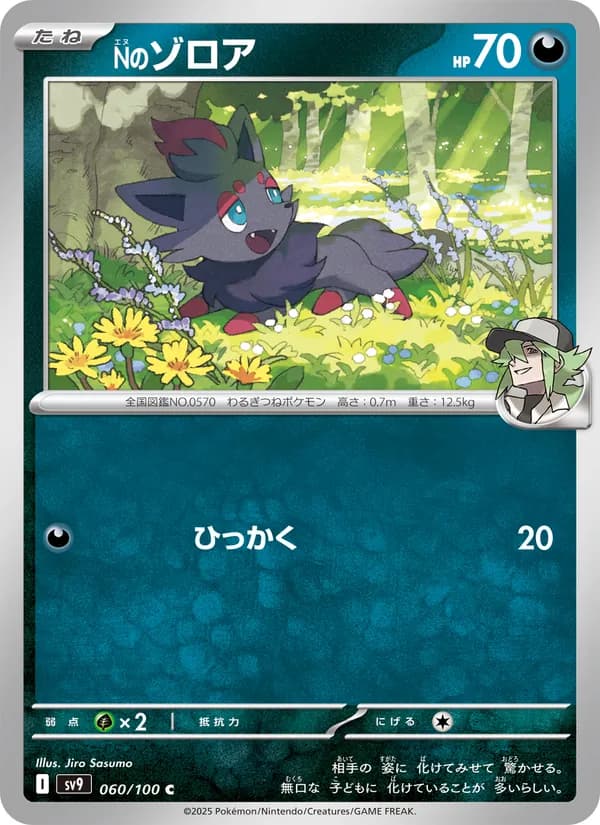 N's Zorua 060/100
