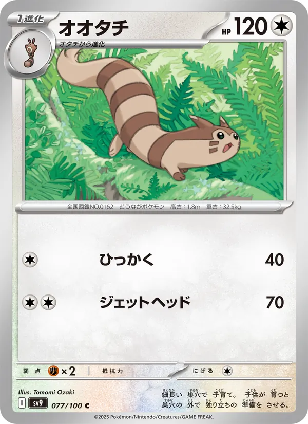 Furret 077/100