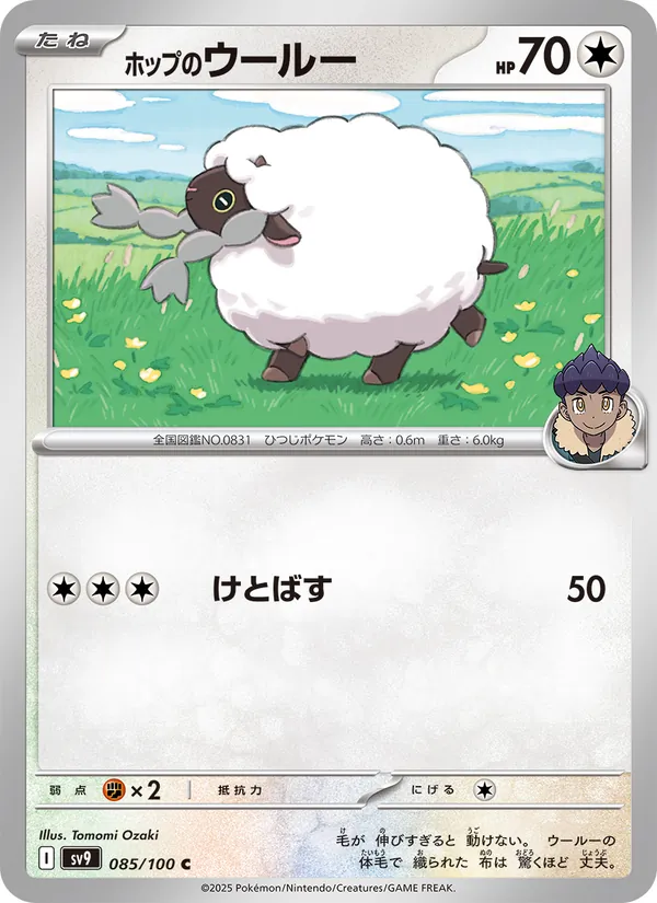 Hop's Wooloo 085/100