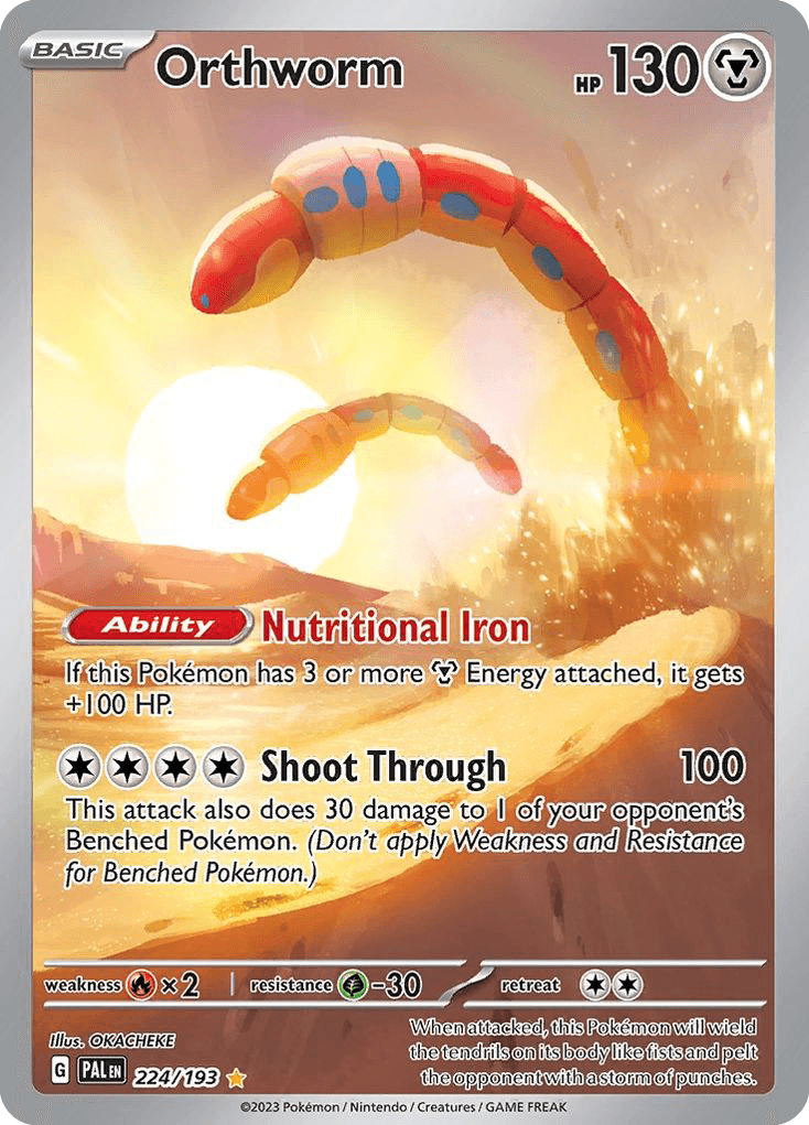 Orthworm 224/193