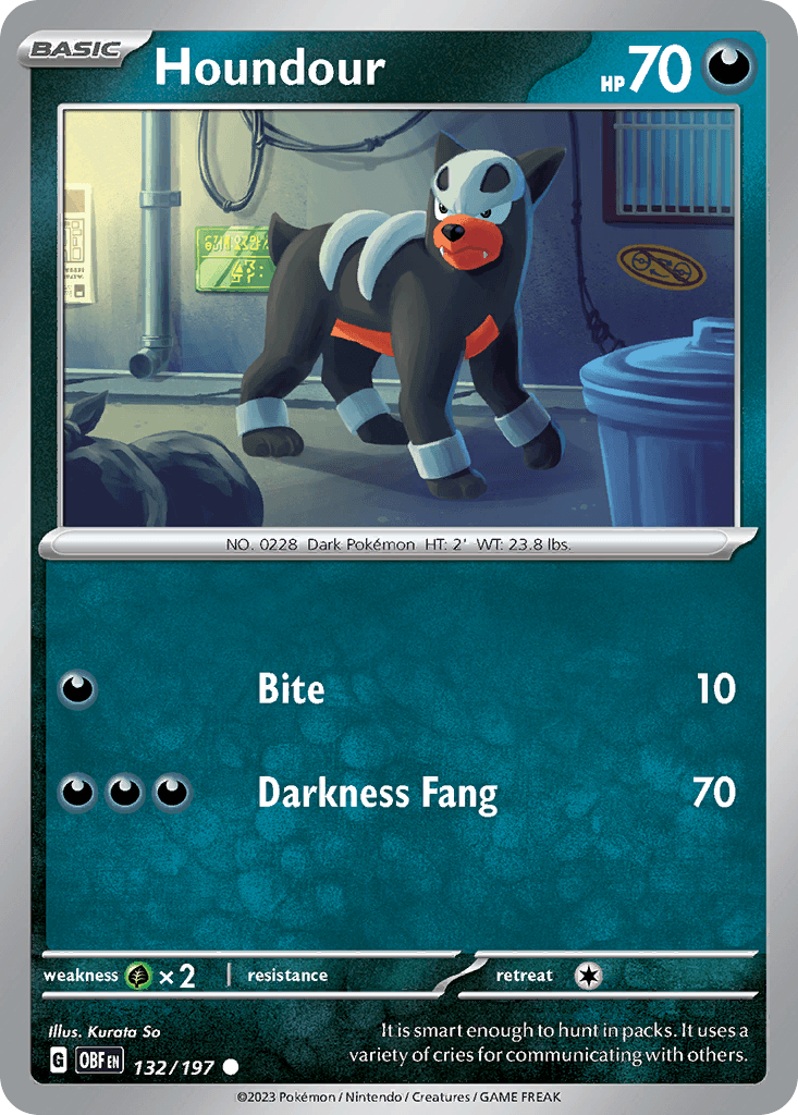 Houndour 132/197