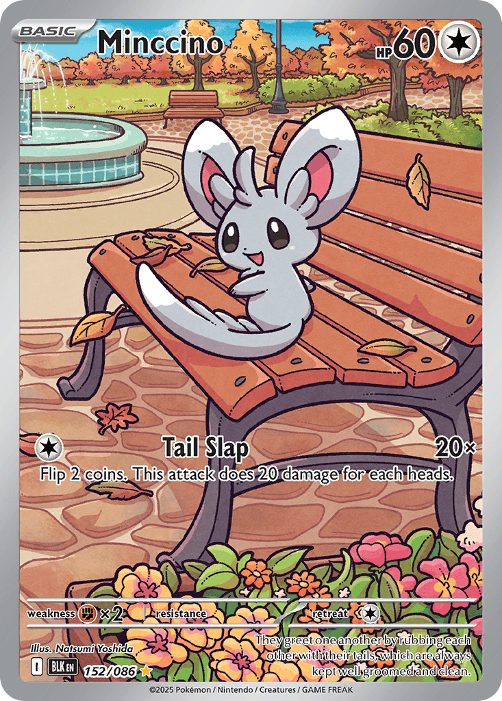 Minccino 152/86