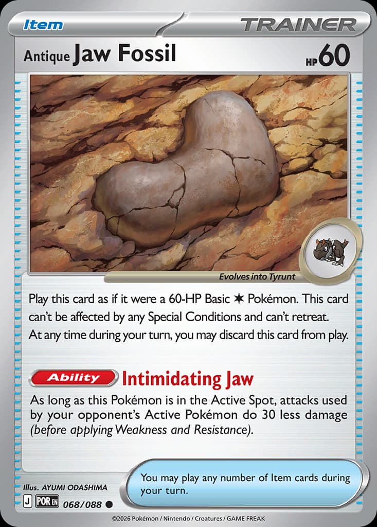 Antique Jaw Fossil 68/88