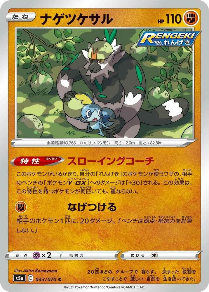 Passimian 043/70