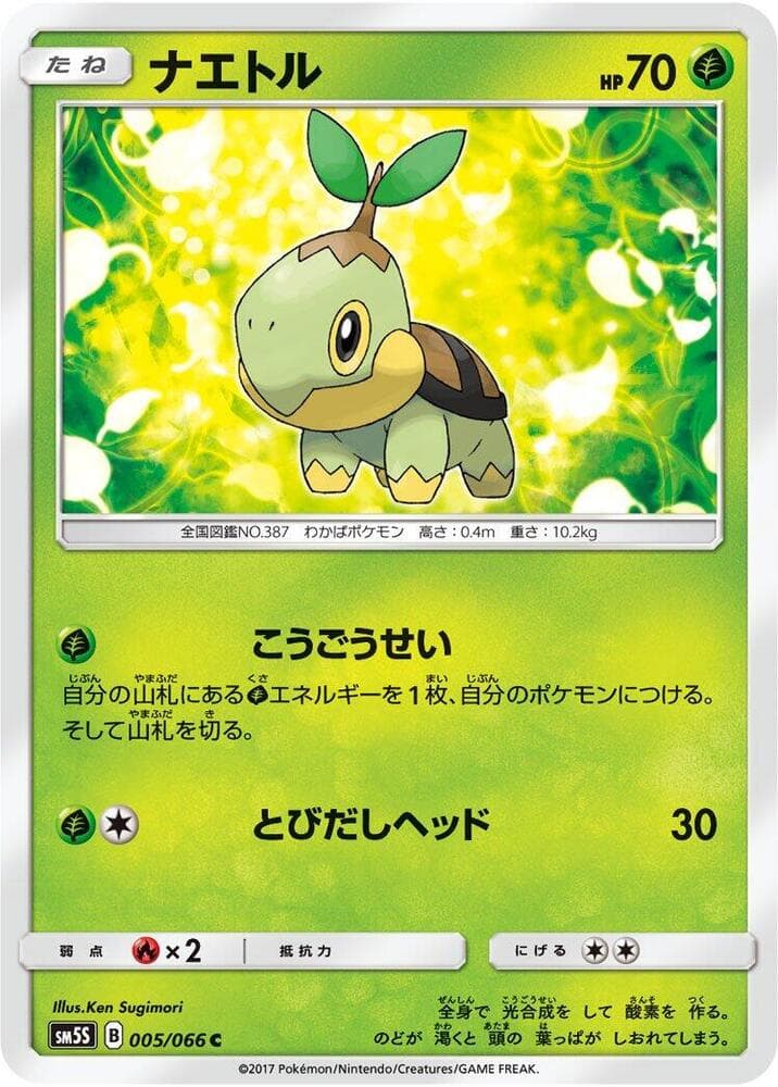 Turtwig 005/66