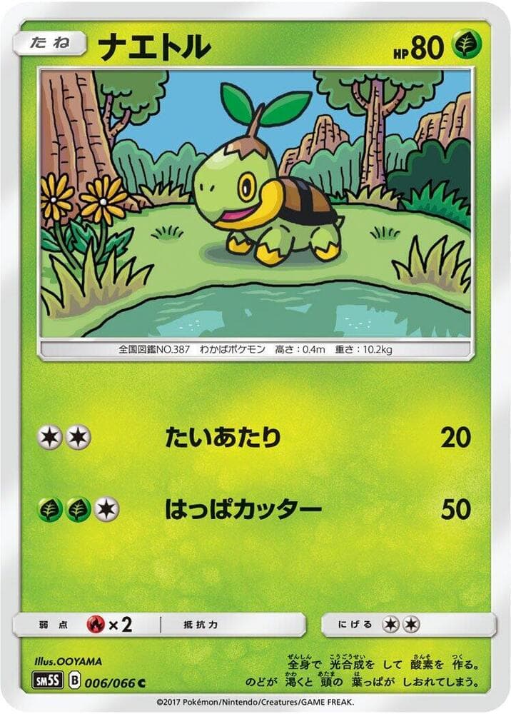 Turtwig 006/66
