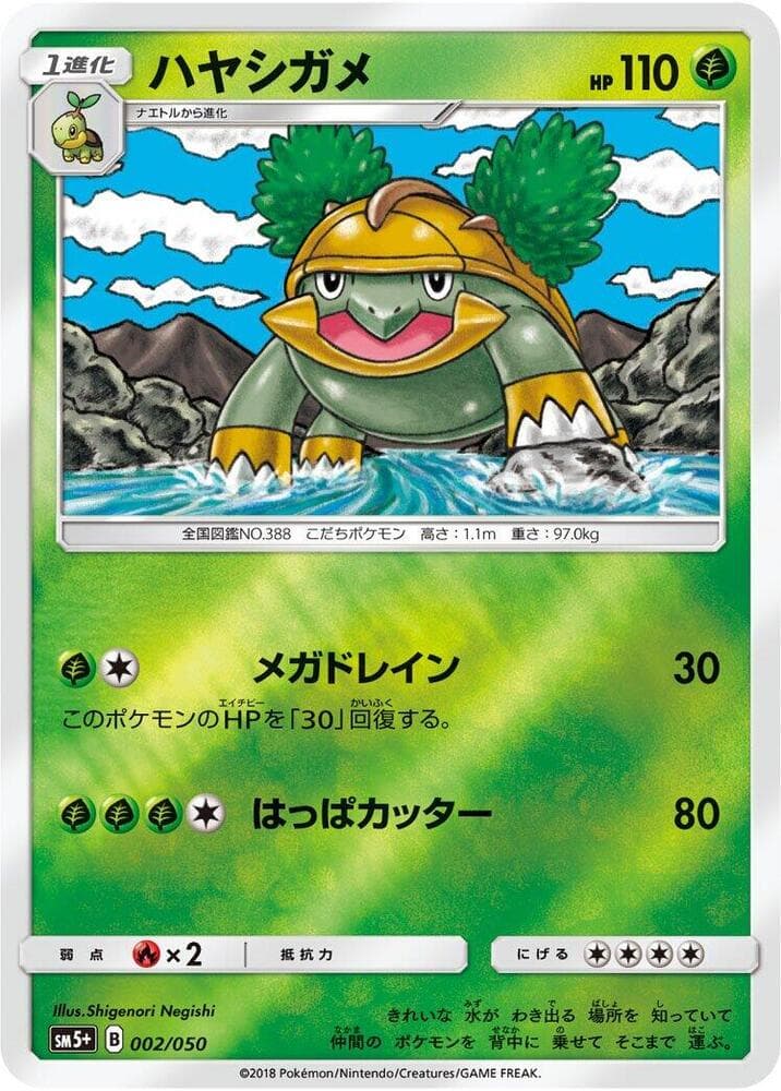 Grotle 002/50