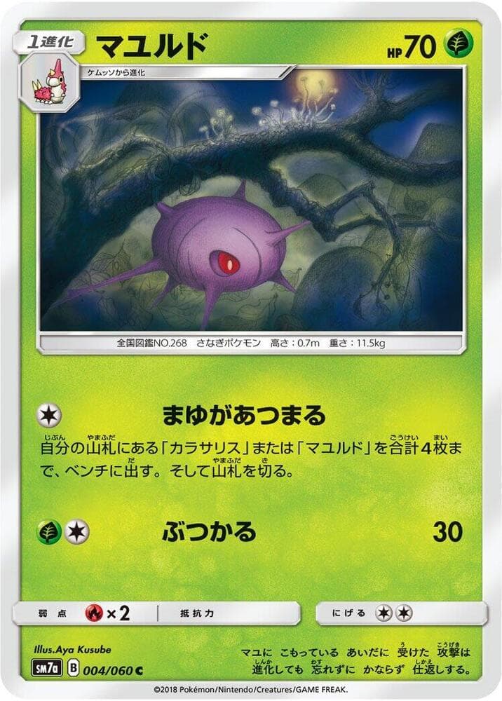 Cascoon 004/50