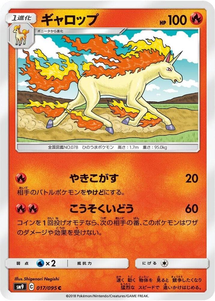 Rapidash 017/95