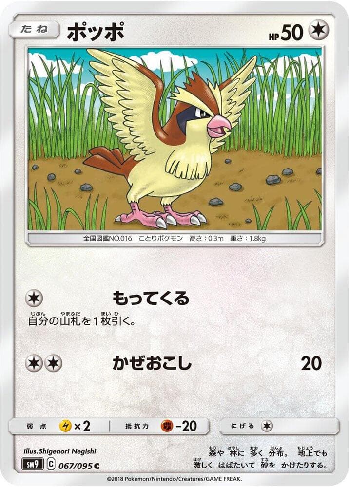 Pidgey 067/95