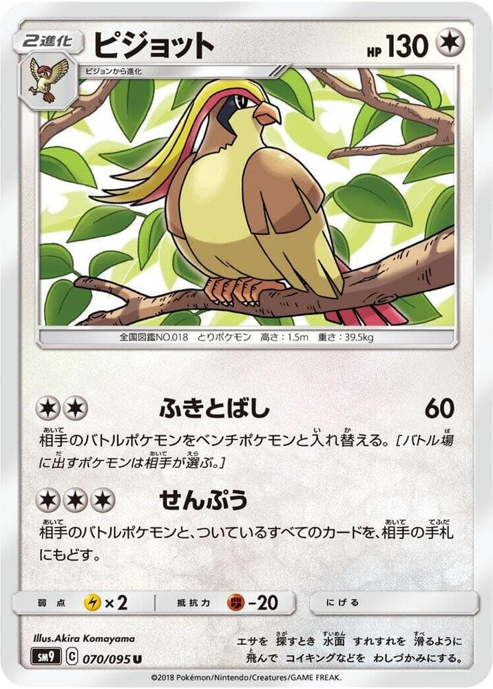 Pidgeot 070/95