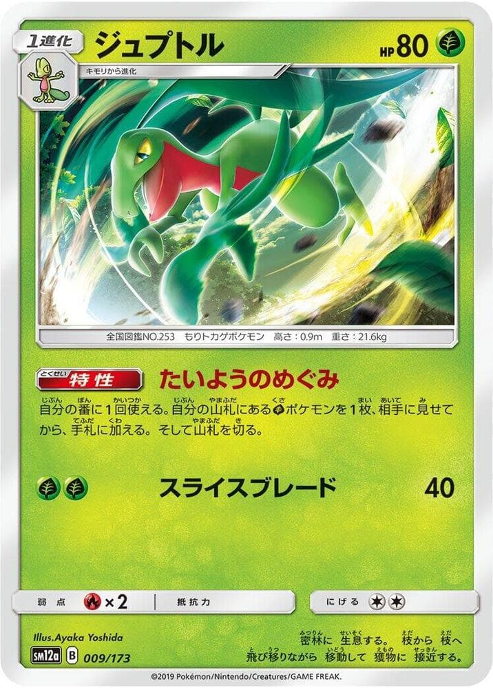 Grovyle 009/173