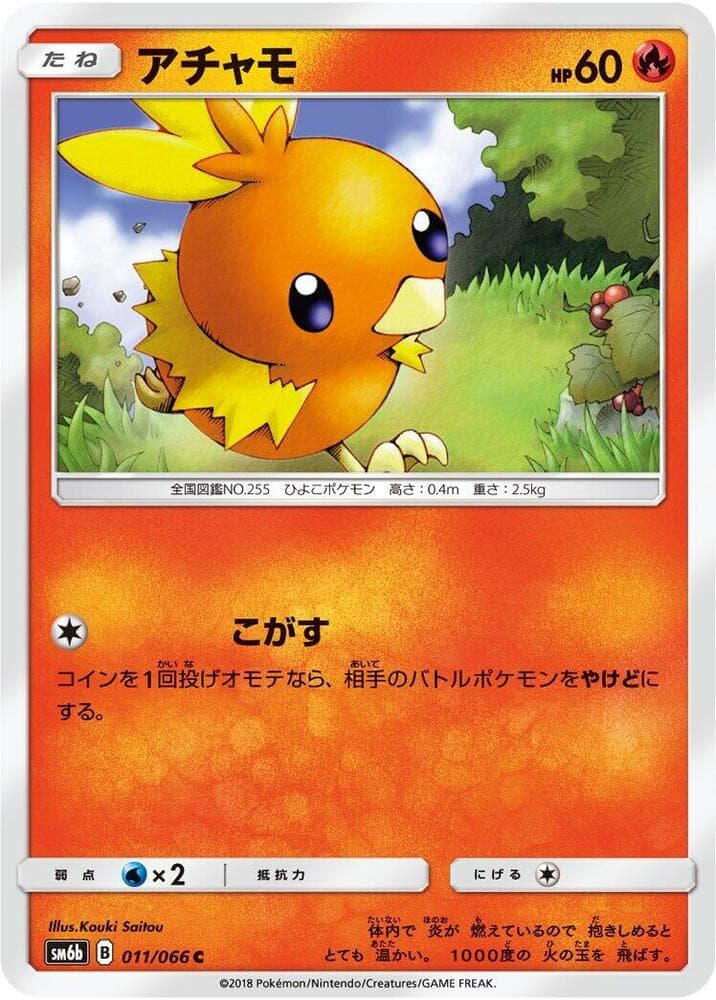 Torchic 011/66
