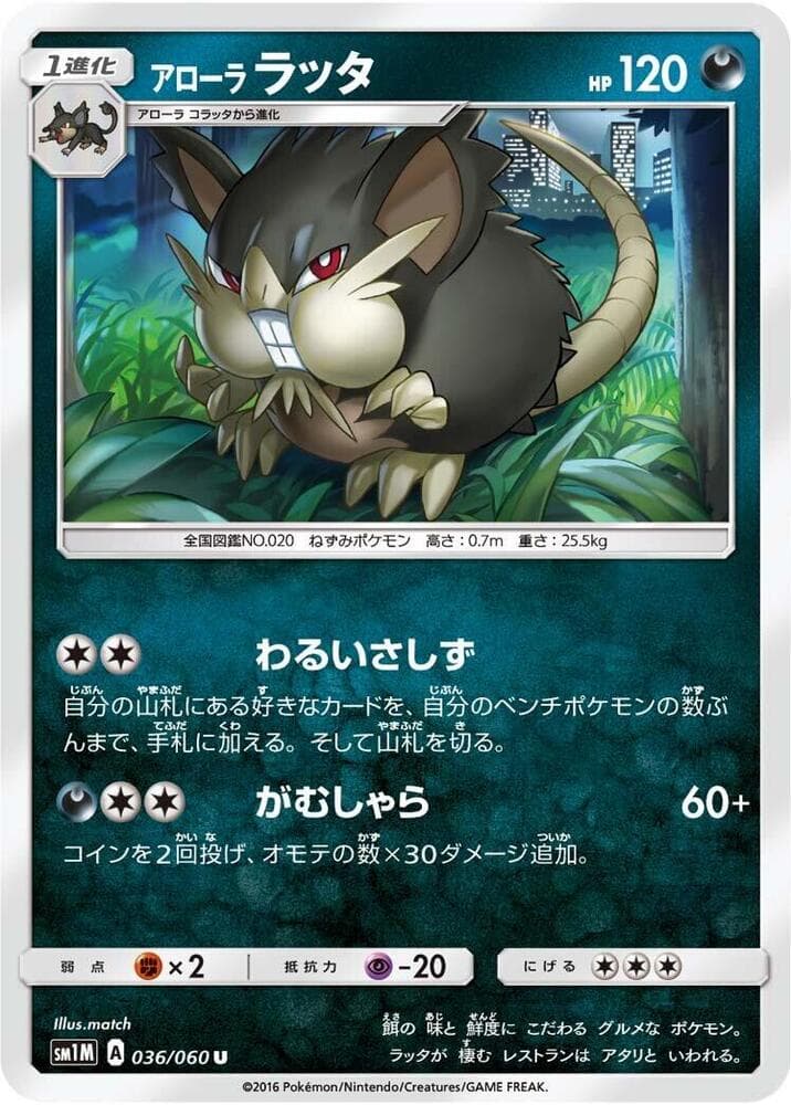 Alolan Raticate 036/60