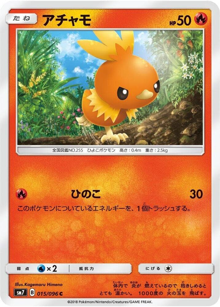Torchic 015/96