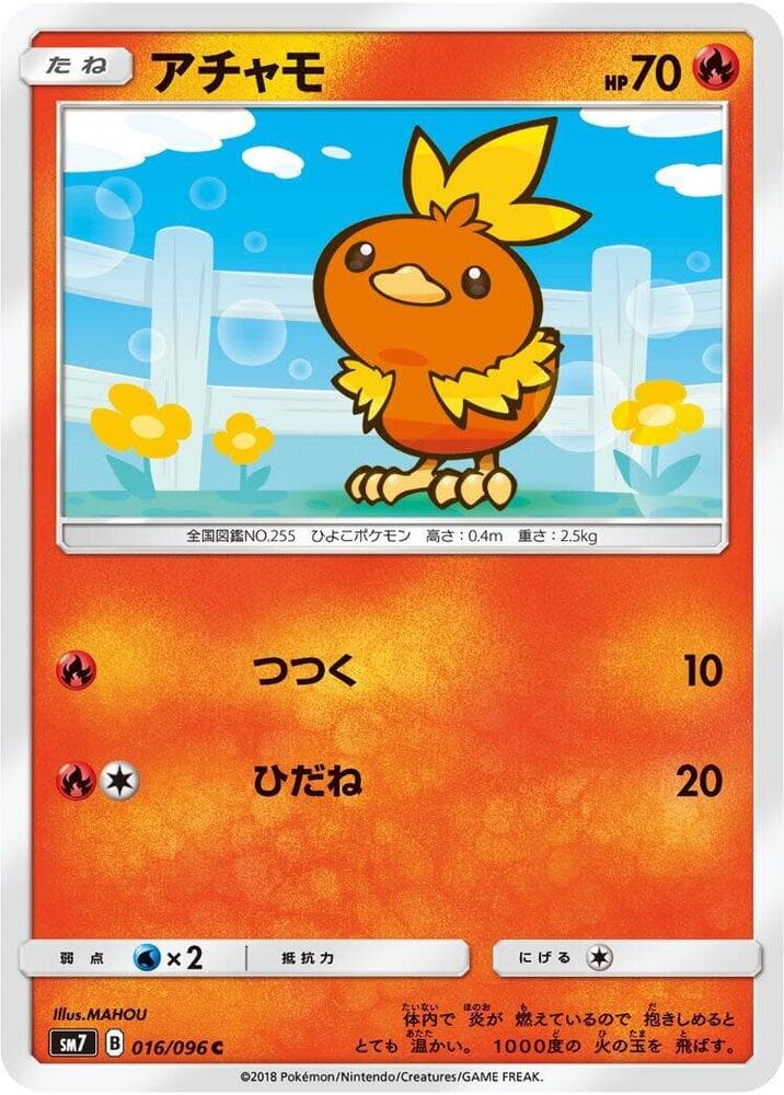 Torchic 016/96