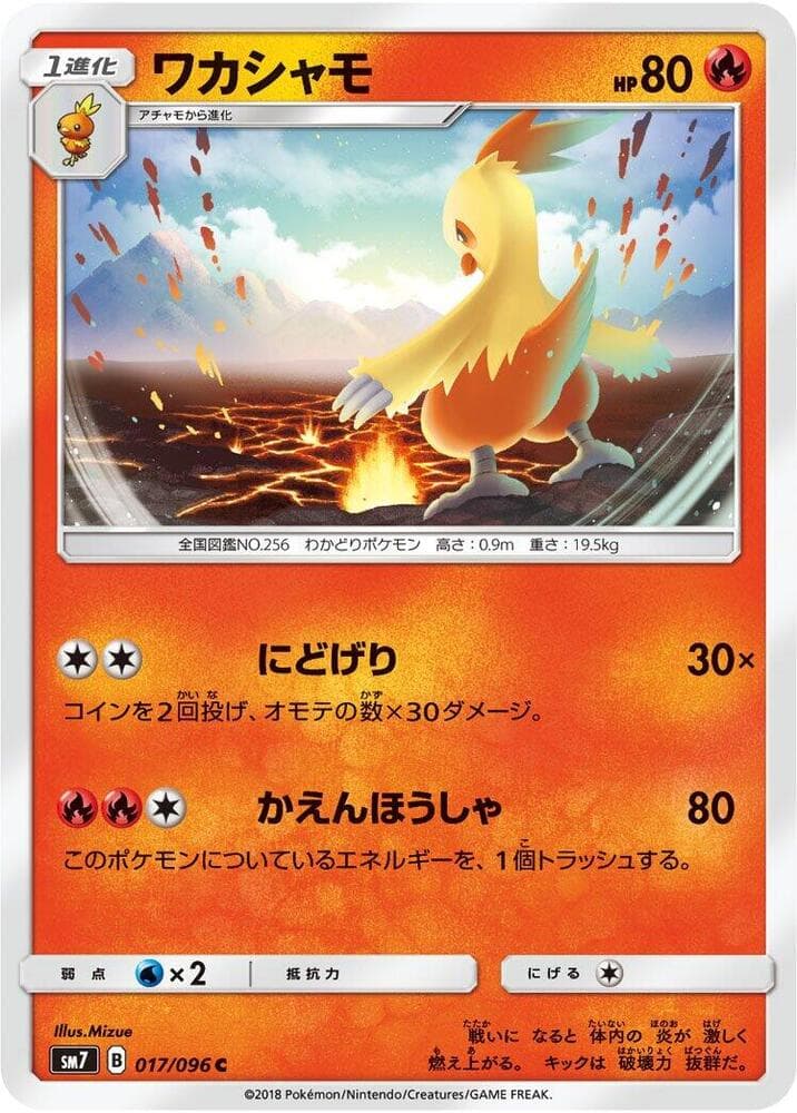 Combusken 017/96