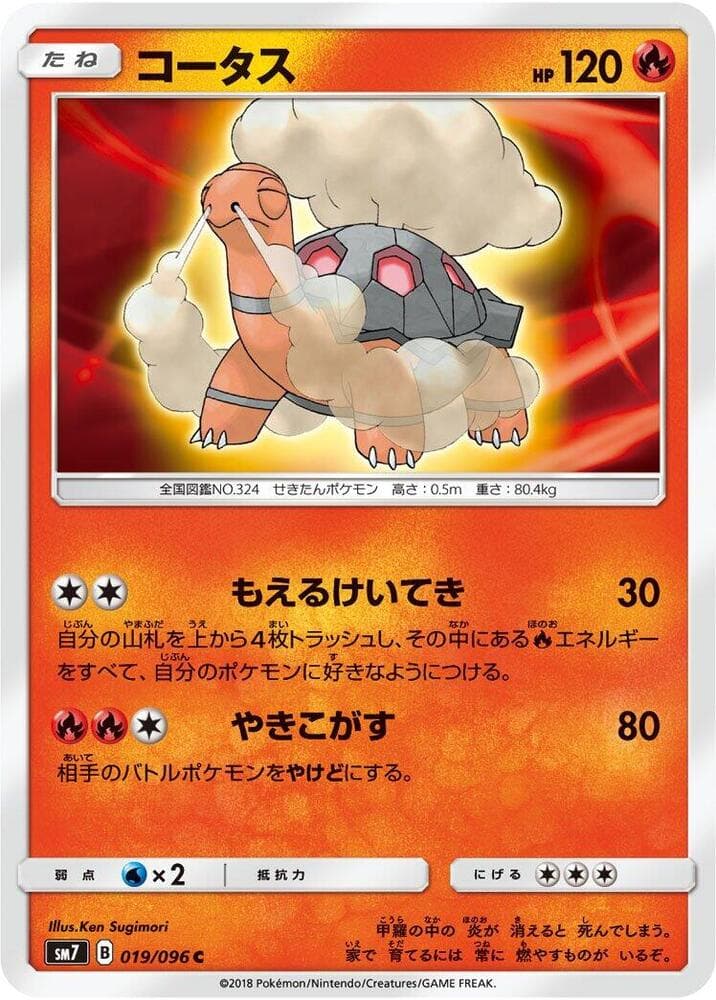 Torkoal 019/96