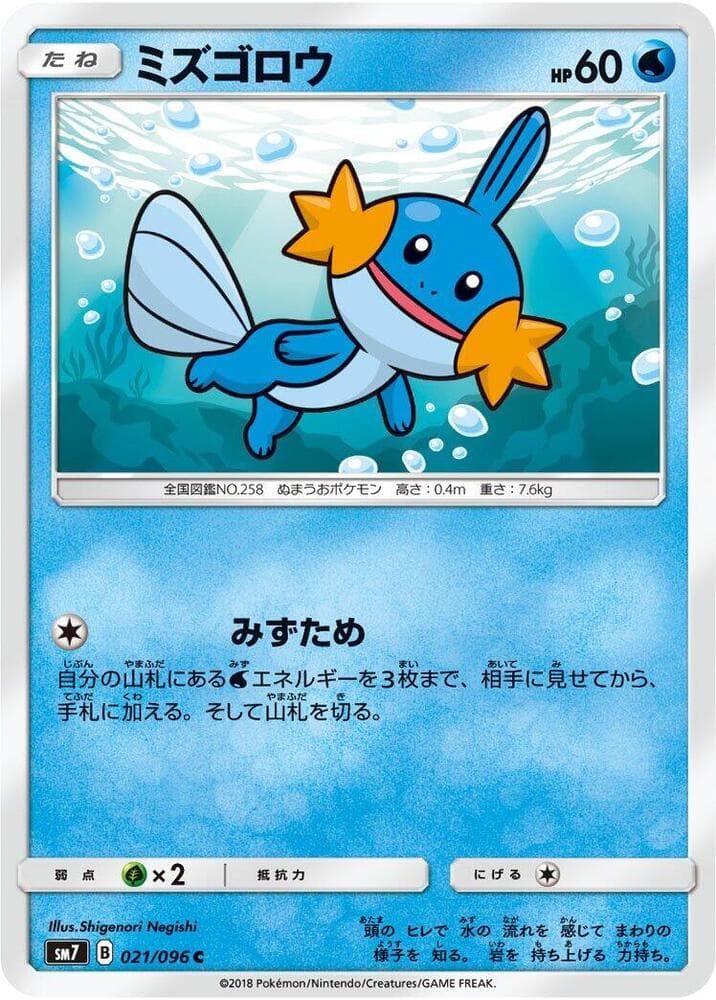 Mudkip 021/96
