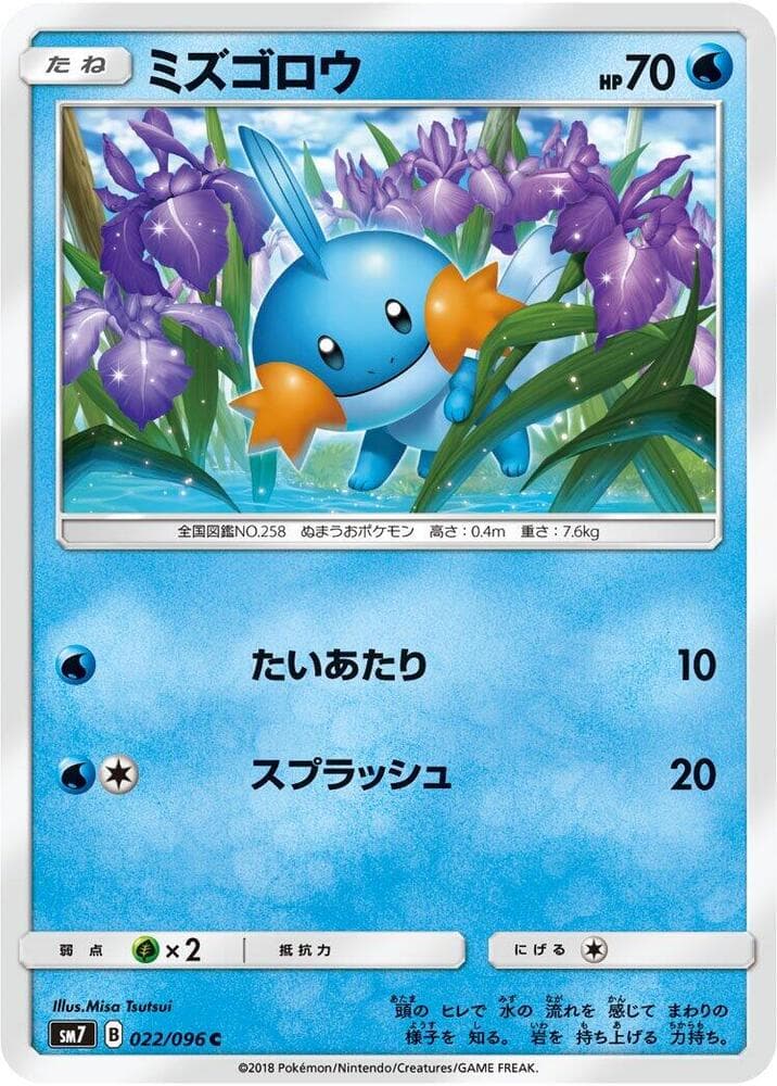 Mudkip 022/96