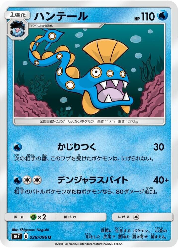 Huntail 028/96