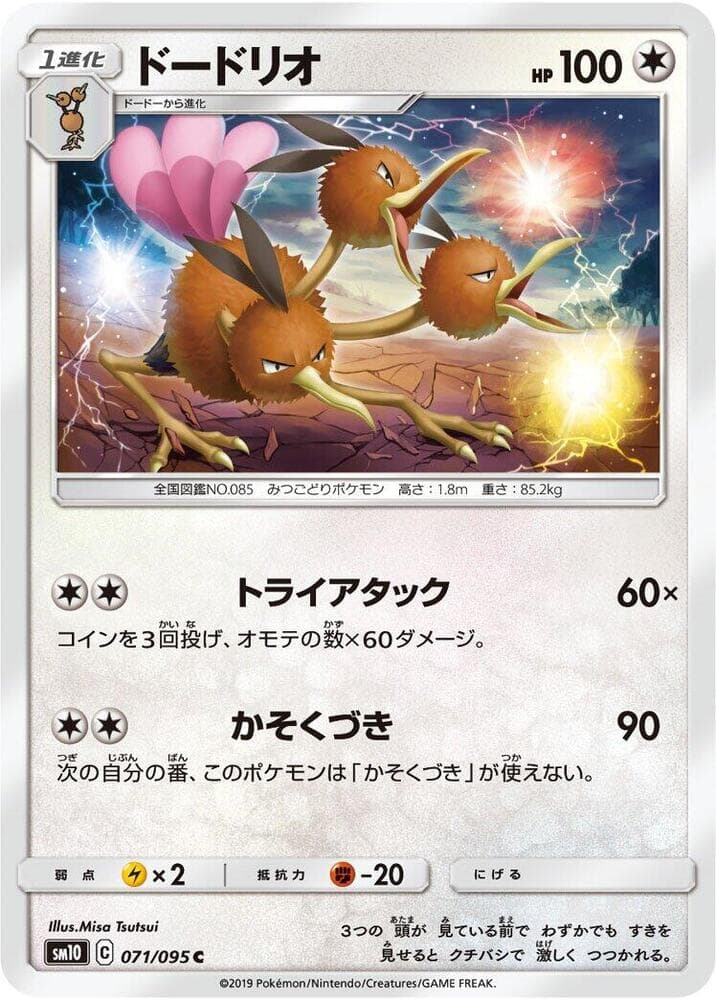 Dodrio 071/95