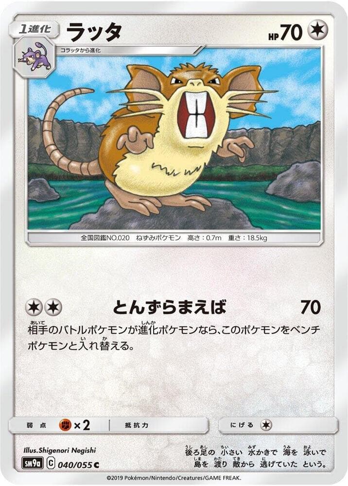 Raticate 040/55