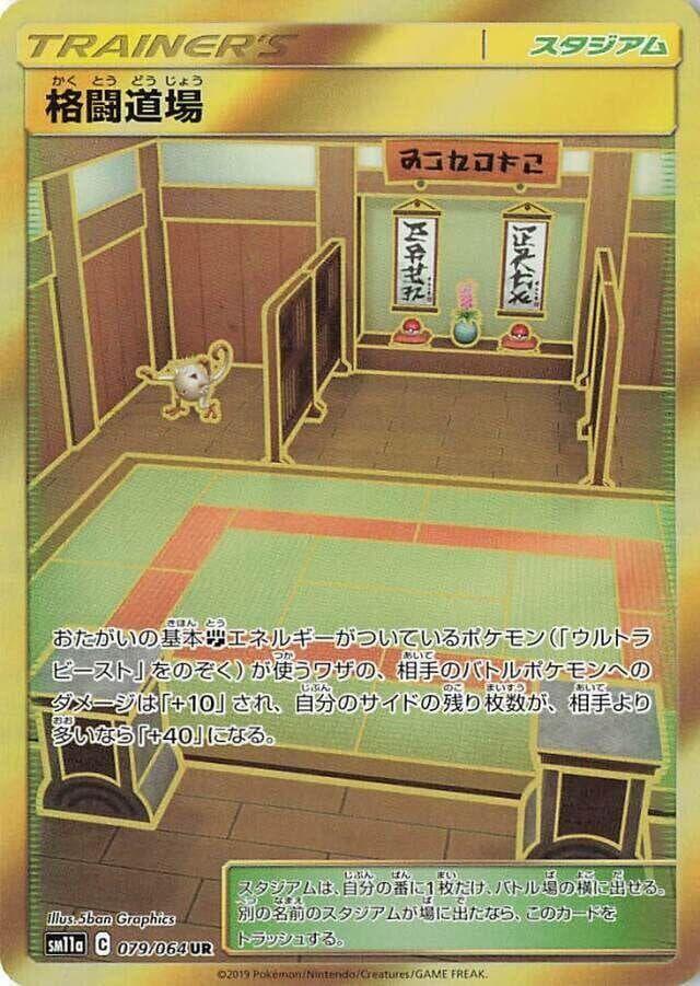 Martial Arts Dojo 079/64