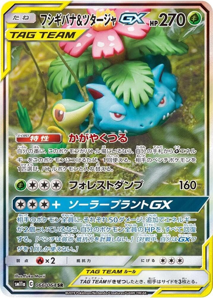 Venusaur & Snivy GX 066/64