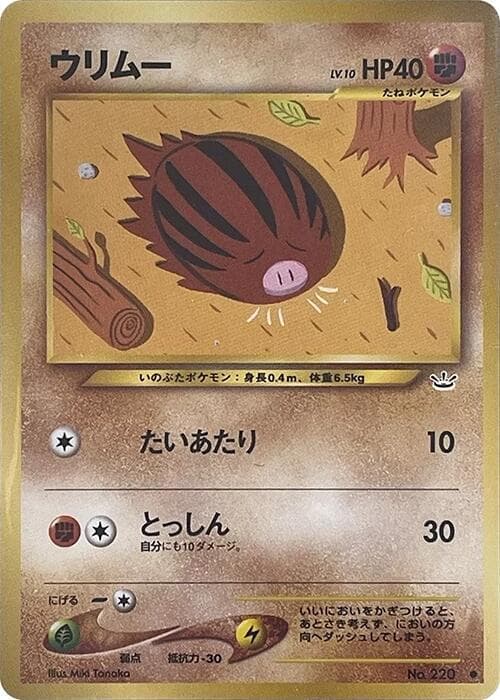 Swinub 038/57