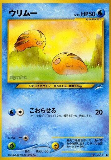 Swinub 029/113