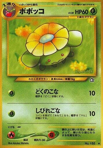 Skiploom 012/96