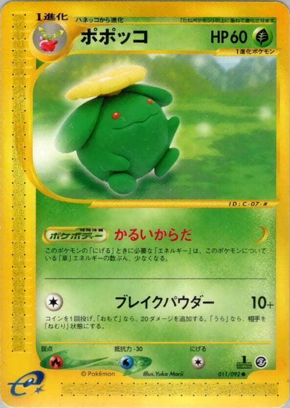 Skiploom 011/92