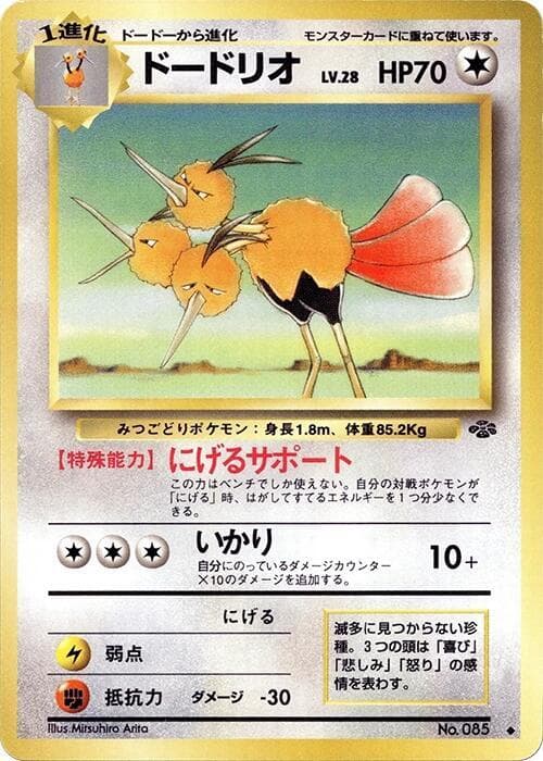 Dodrio 040/48