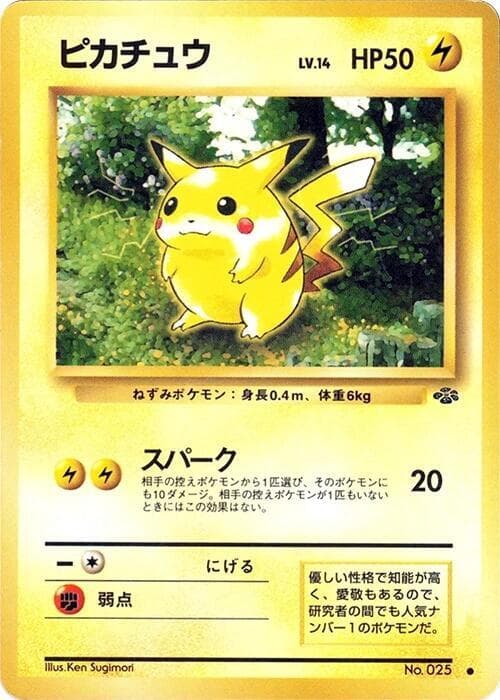 Pikachu 024/48