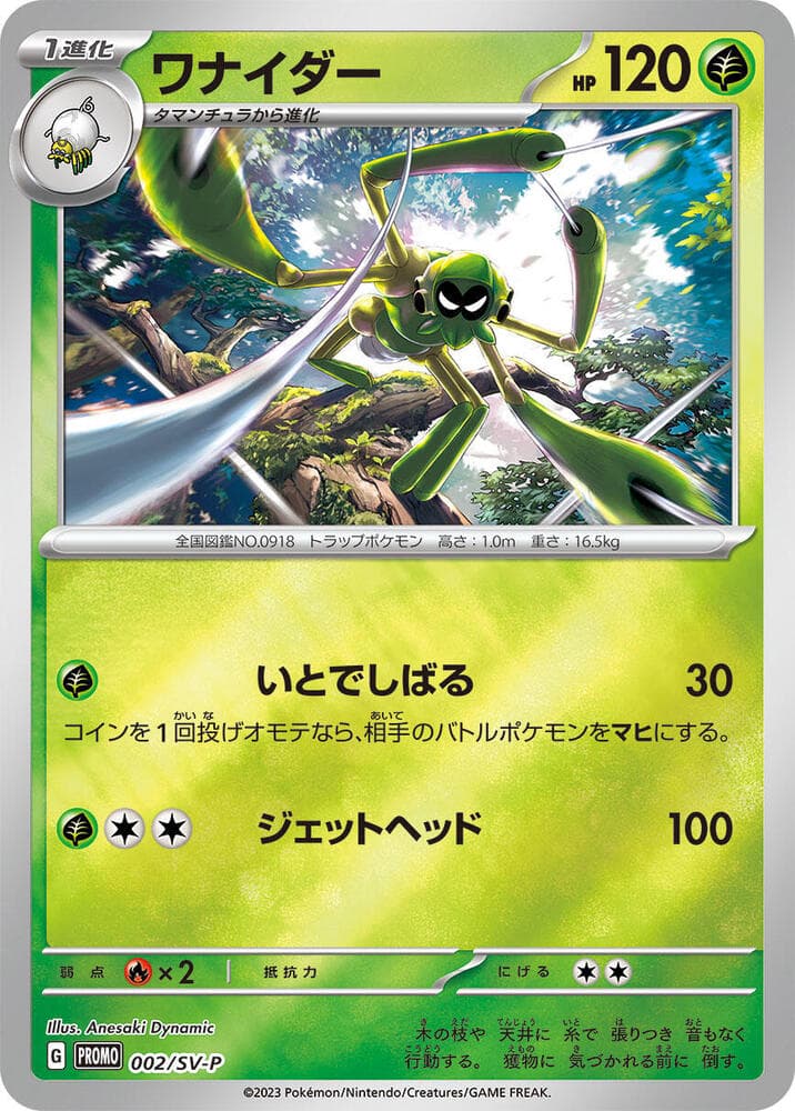 Spidops 002