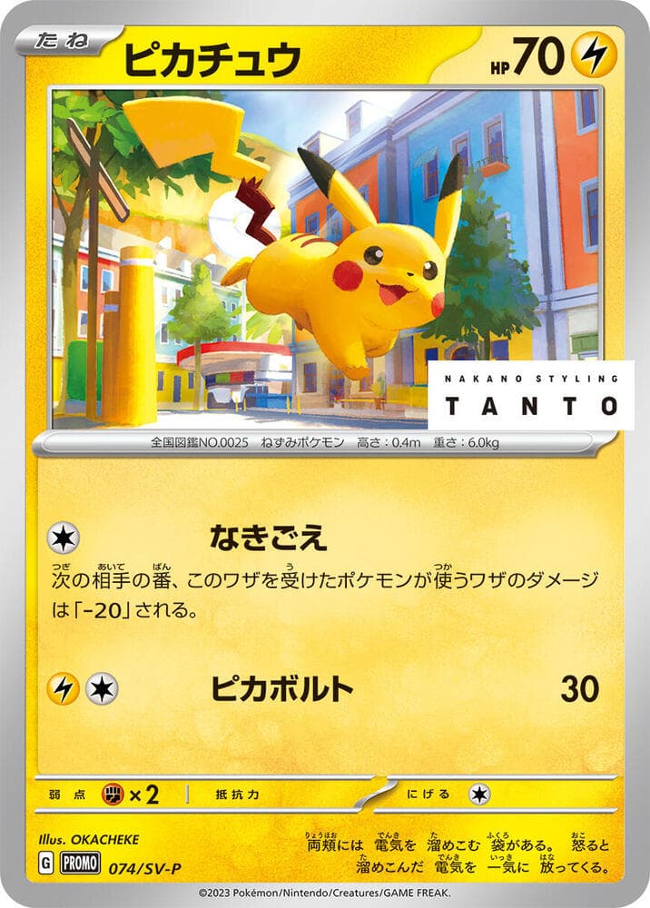 Pikachu 074