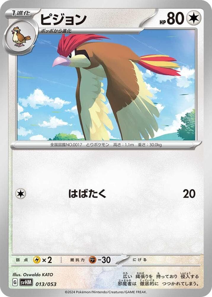 Pidgeotto 013/53