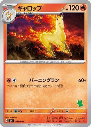 Rapidash 008/66
