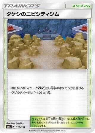 Brock's Pewter City Gym 030/31