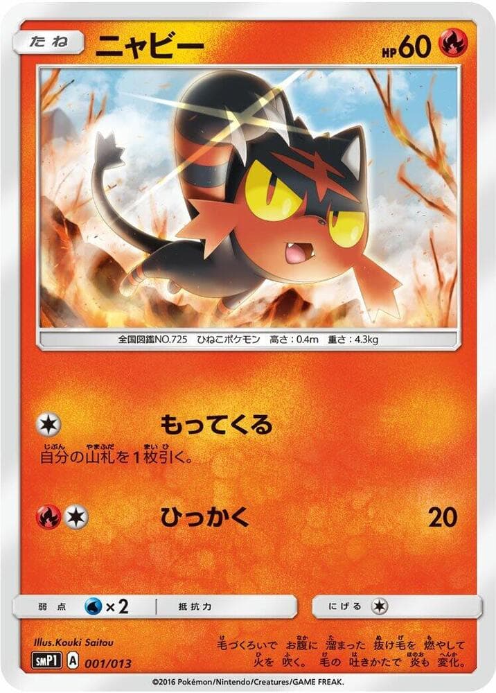 Litten 001/13